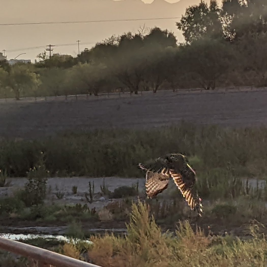 Santa Cruz River Park - Irvington Access 1
